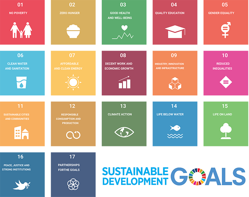 Sustainable Development Goals (SDG) 